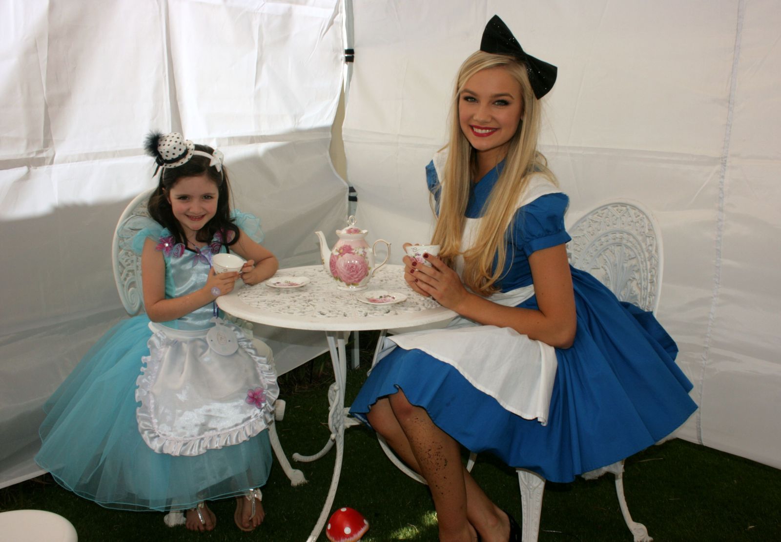 Alice in Wonderland Tea party perth, tea party perth wa, tea party venue perth, alice in wonderland decorations